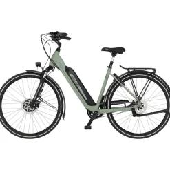 Fischer CITA 2403 28 Zoll RH 43 cm grün