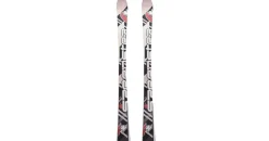 F2 Speedster SL Sondermodell Grau/Schwarz 170 cm