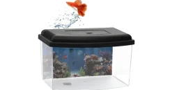 GarPet Mini Aquarium 10 l mit Deckel schwarz