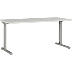 Germania Schreibtisch GW-Profi 2.0 4253