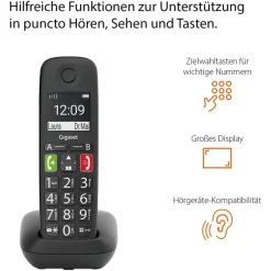 Gigaset E290