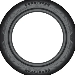 Goodyear EfficientGrip Performance 2