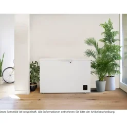 Gorenje FH37DAW