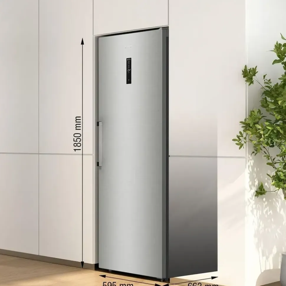 Gorenje FN619DAXL6