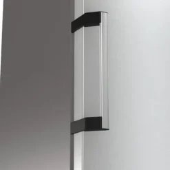Gorenje FN619DAXL6