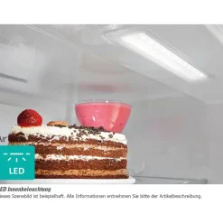 Gorenje G200 RK4182P Kühl-Gefrierkombination