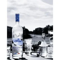 Grey Goose Vodka 40% vol