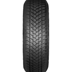 GT Radial WinterPro2