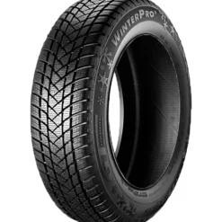GT Radial WinterPro2