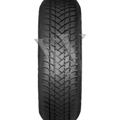 GT Radial WinterPro2