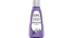Guhl Silberglanz & Pflege Shampoo