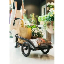 Hamax Venture Cargo