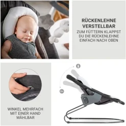 hauck Beta Plus Grau inkl. 2in1 Neugeborenen-Aufsatz