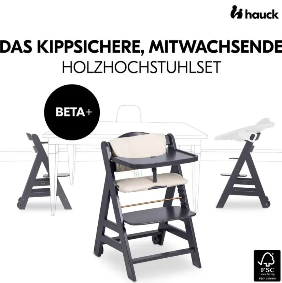 hauck Beta Plus Grau inkl. 2in1 Neugeborenen-Aufsatz
