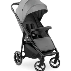 hauck Shop N Care Grau