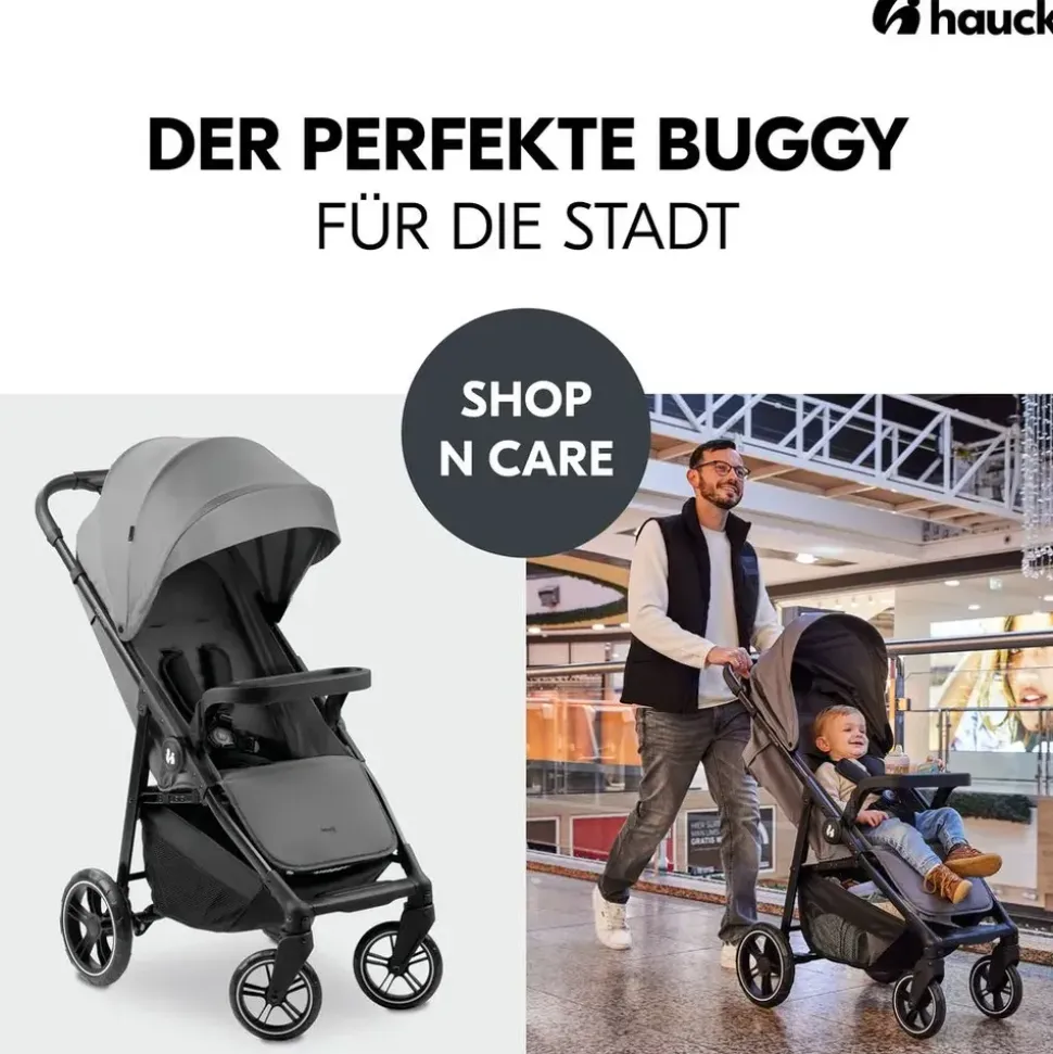 hauck Shop N Care Grau