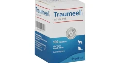 Heel Traumeel T Tabletten