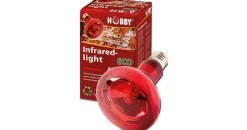Hobby Infraredlight Eco Infrarot-Halogenstrahler 70 Watt