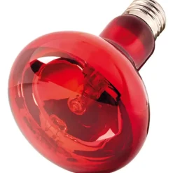 Hobby Infraredlight Eco Infrarot-Halogenstrahler 70 Watt