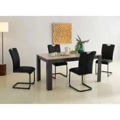 Home Affaire Essgruppe HOME AFFAIRE "Napoli", grau (anthrazit, anthrazit, anthrazit), B:160cm H:75cm T:88,5cm, Sitzmöbel-Sets, Essgruppe, 5-teilige Tischgruppe mit modernem Freischwinger Stuhl und Esstisch