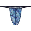 HOM String Plume Barrett blau L 1er Pack