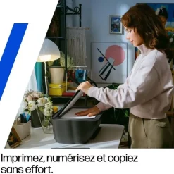 HP DeskJet 2910