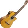 IBANEZ Acoustic Gitarre / GA3ECEOAM Standard