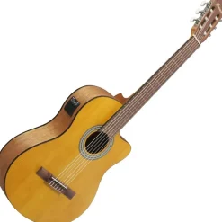 IBANEZ Acoustic Gitarre / GA3ECEOAM Standard