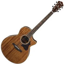 IBANEZ AE245-NT