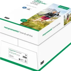 Inapa Recyconomic Trend White 80 g/m² 5x500 Blatt (88031824)