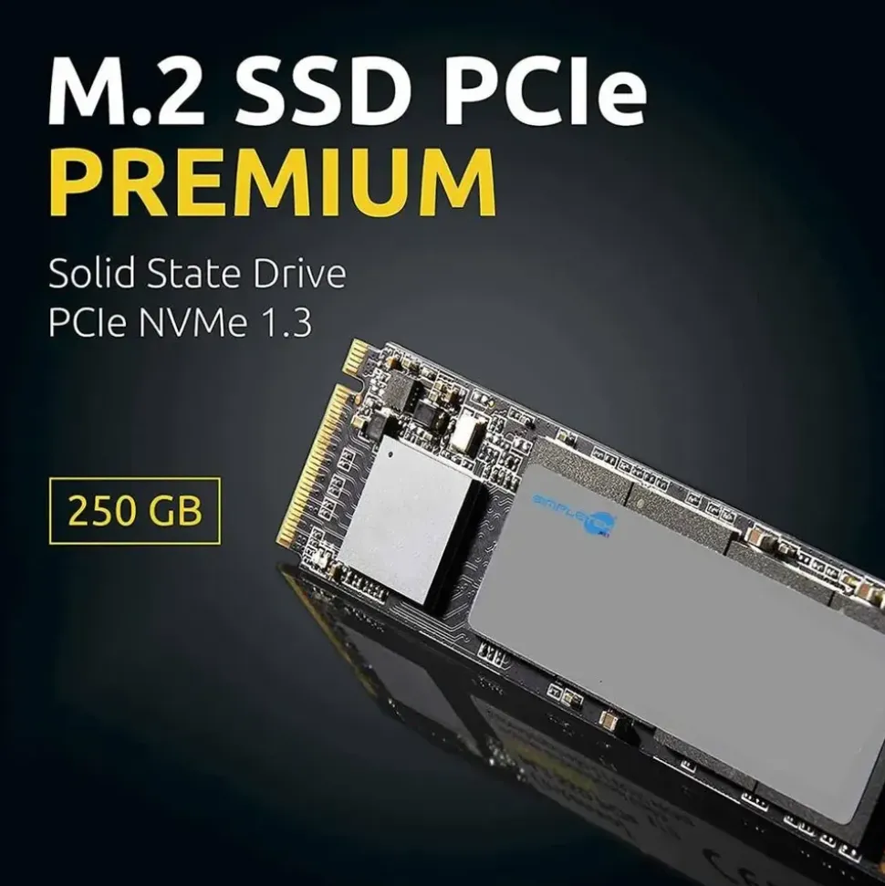 Intenso PCIe Premium