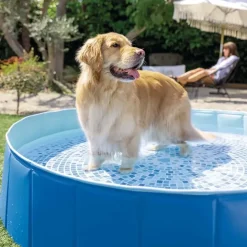 Intex Faltbarer Hundepool Ø 152 cm (48400NP)