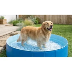 Intex Faltbarer Hundepool Ø 152 cm (48400NP)