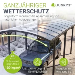 Juskys Carport 5 x 3 m mit Bogendach