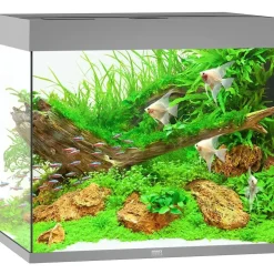 JUWEL AQUARIUM Lido 200 LED Aquarium Set grau