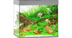 JUWEL AQUARIUM Lido 200 LED Aquarium Set grau
