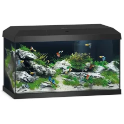 JUWEL AQUARIUM Primo 60 2,0 Aquariumkombination 57,0 l schwarz