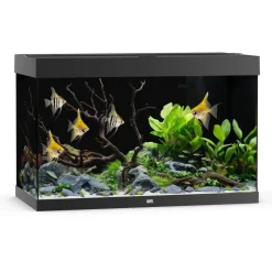 JUWEL AQUARIUM Rio 290 LED Aquarium