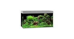 juwel® aquarium Rio 350 LED Aquarium Set 350 l grau