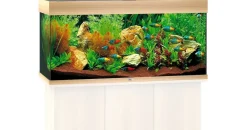 Juwel Rio 180 LED Aquarium ohne Unterschrank Holz