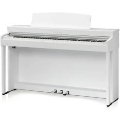 KAWAI CN301