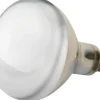 Kerbl Infrarotlampe Wärmelampe 150 W