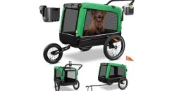 Kesser Boxer 3-in-1 grün