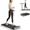KINGSMITH WalkingPad Z1 Schwarz/Grau
