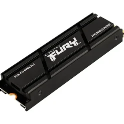 Kingston Fury Renegade