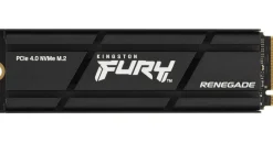Kingston Fury Renegade