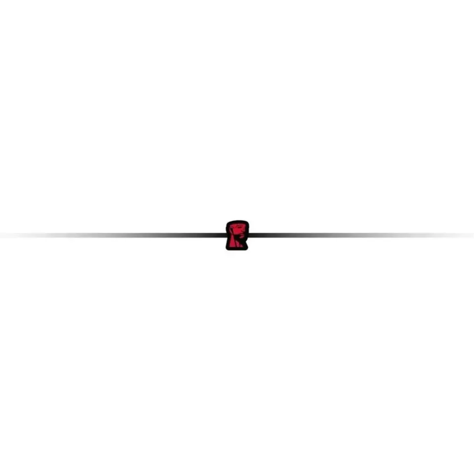 Kingston XS1000 2 TB USB 3,2 Gen 2 Rot SXS1000R/2000G