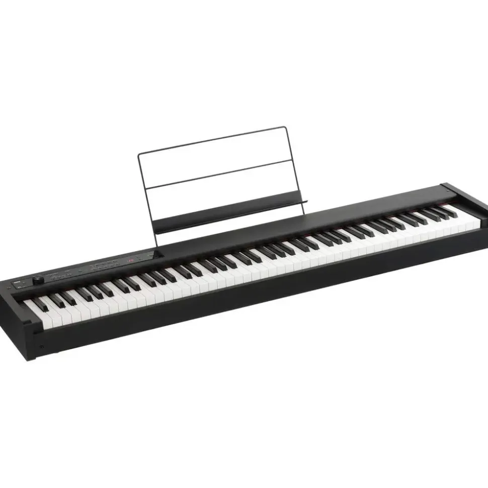 Korg D1