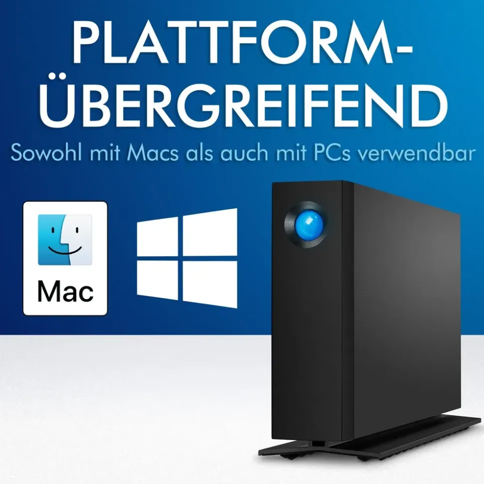 LaCie d2 Professional 10 TB USB-C 3.1 STHA10000800
