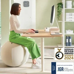 Leitz Sitzball Grau 75 cm